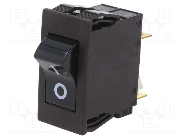 Circuit breaker; Urated: 240VAC; 60VDC; 20A; DPST; Poles: 2; SNAP-IN