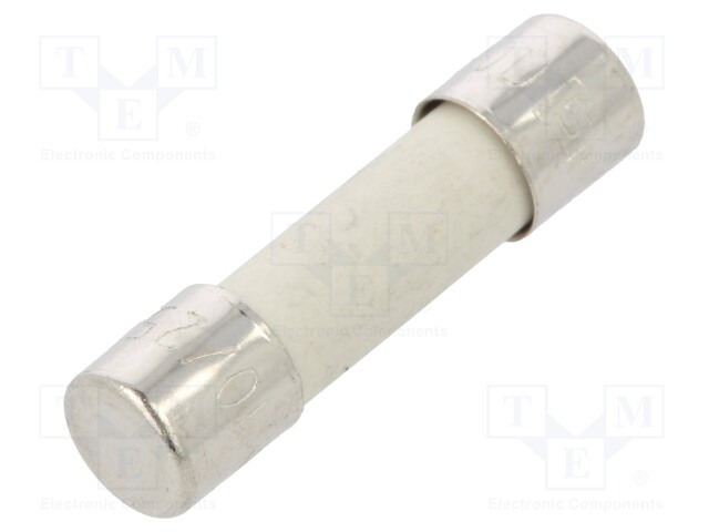 Fuse: fuse; medium time-lag; 10A; 250VAC; ceramic,cylindrical