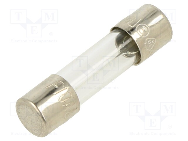 Fuse: fuse; 10A; 250VAC; glass; 20x5.2mm; brass; bulk; nickel plated