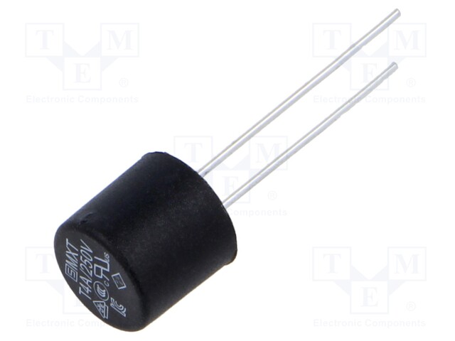 Fuse: fuse; time-lag; 4A; 250VAC; TR5; MXT 250