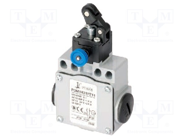 Limit switch; plastic roller Ø12,5mm,with reset; NO + NC; 10A