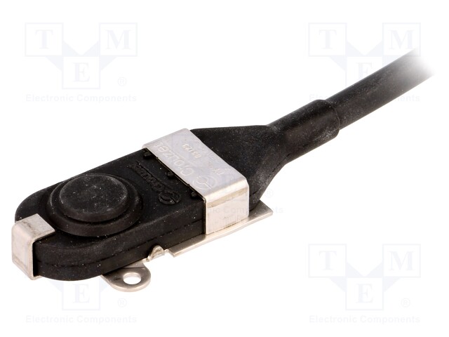 Microswitch SNAP ACTION; SPDT; 5A/250VAC; ON-(ON); Pos: 2; IP66