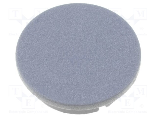 Cap; plastic; grey; push-in; Application: G4311.6131