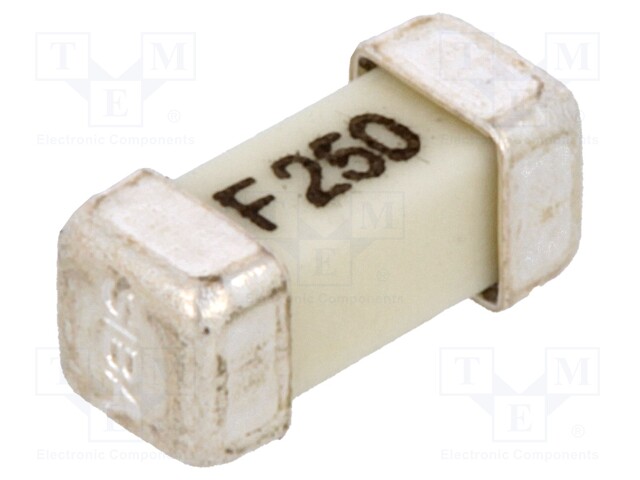 Fuse: fuse; quick blow; 250mA; 125VAC; 125VDC; SMD; ceramic; brass