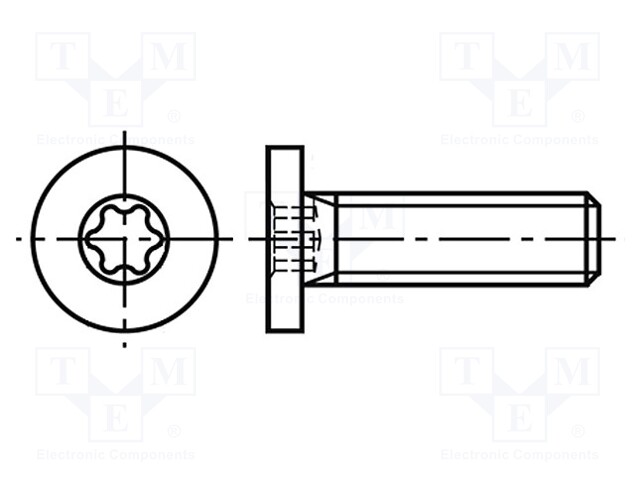 Screw; M4x6; Head: cheese head; Torx®; A2 stainless steel; TX10