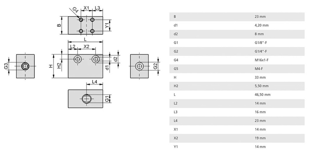 Fixing element