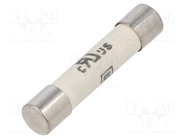 Fuse: fuse; time-lag; 12.5A; 400VAC; 400VDC; ceramic,cylindrical