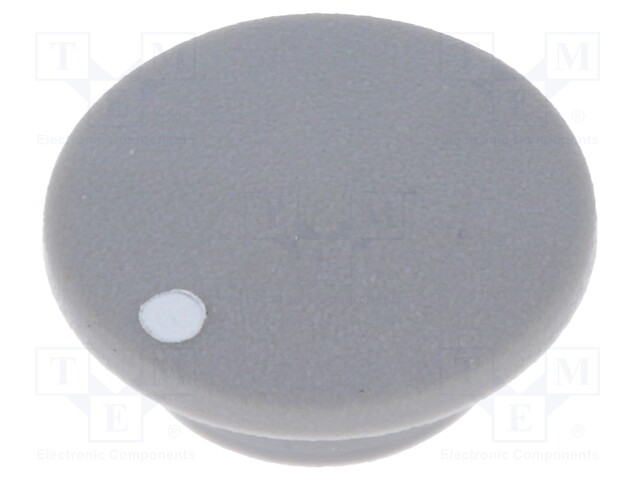 Cap; plastic; push-in; grey; Application: K21
