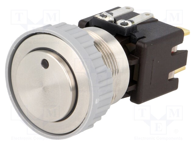 Switch: vandal resistant; Pos: 2; DPST-NO; 12A/250VAC; 0.5A/125VDC