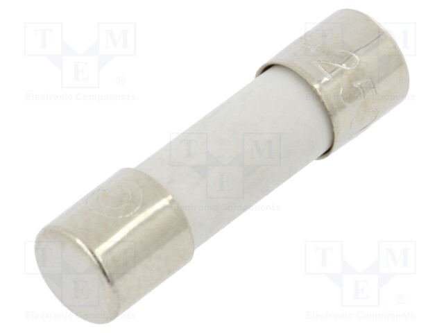 Fuse: fuse; time-lag; 20A; 250VAC; ceramic; 20x5.2mm; brass; bulk