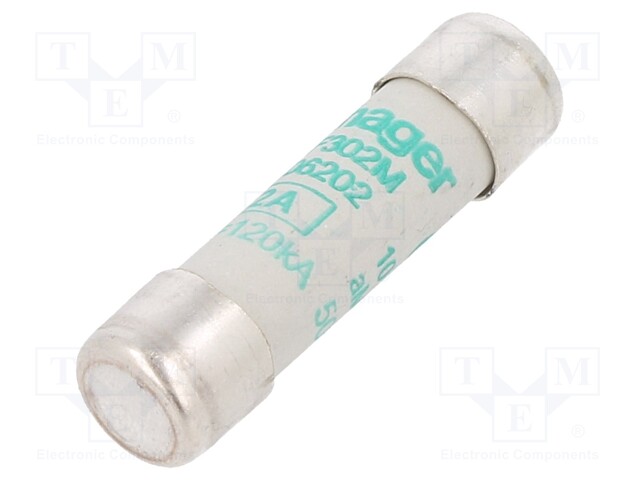 Fuse: fuse; aM,time-lag; 2A; 500VAC; cylindrical,industrial