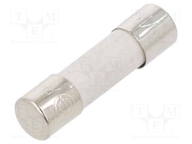 Fuse: fuse; 10A; 250VAC; ceramic; 20x5.2mm; brass; bulk