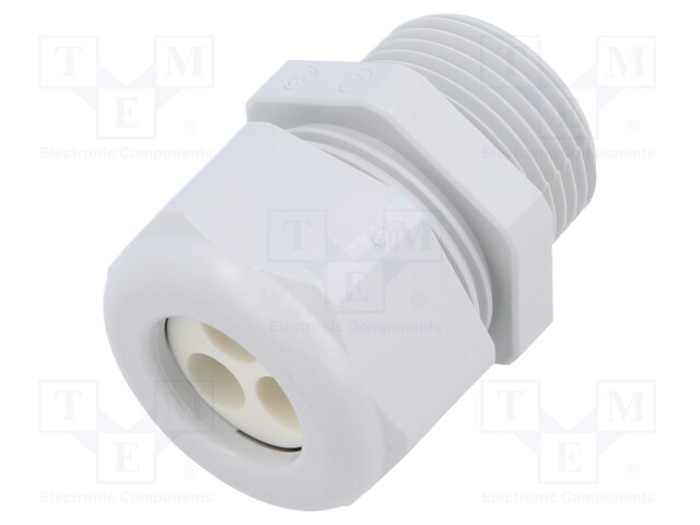 Cable gland