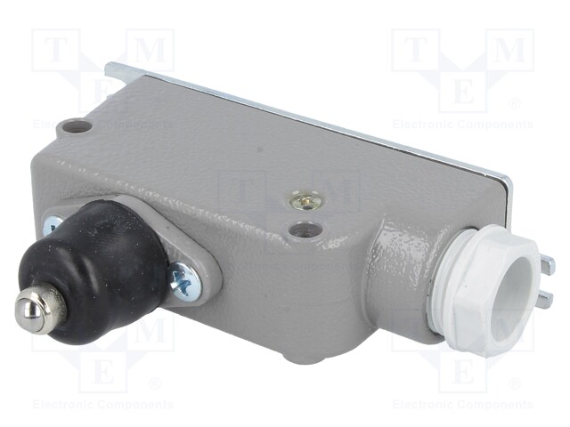 Limit switch; plunger; SPDT; 6A; max.400VAC; max.220VDC; IP56