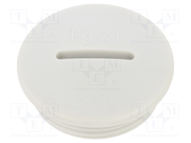 Stopper; PG21; IP54; Mat: polyamide; light grey