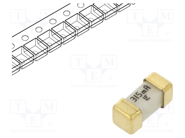 Fuse: fuse; ultra rapid; 315mA; 125V; SMD; ceramic; Case: 2410; 448