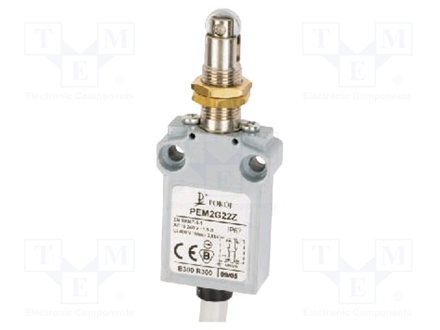 Limit switch; NO + NC; 5A; max.250VAC; max.250VDC; lead 1m; IP67