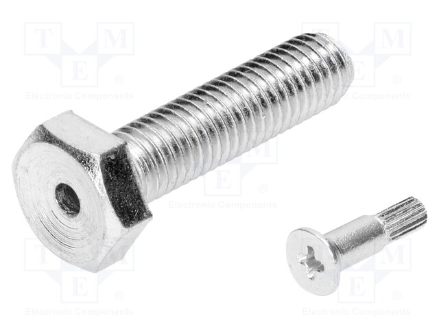 Pin; M10; Plunger mat: steel; Plating: zinc; Thread len: 40mm