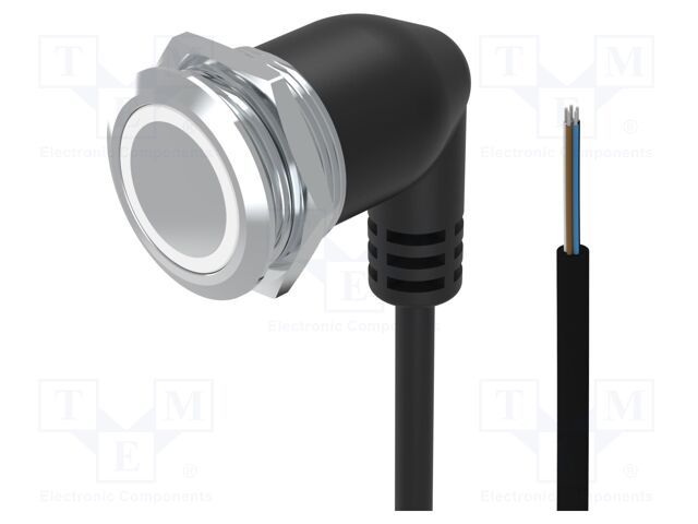 Switch: vandal resistant; Pos: 2; SPDT; 0.6A/35VAC; 600mA/35VDC