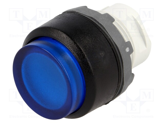 Switch: push-button; Stabl.pos: 2; 22mm; blue; Illumin: MLB-1; IP66