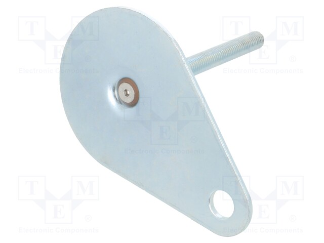 Foot of pin; Base dia: 60mm; M10; steel; Plunger length: 80mm