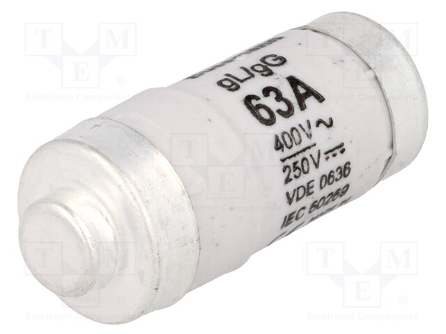 Fuse: fuse; 63A; 400VAC; 250VDC; ceramic,industrial; D02