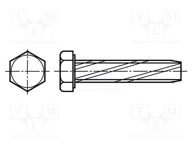 Screw; 5x12; Head: hexagonal; none; hardened steel; zinc; BN: 1221