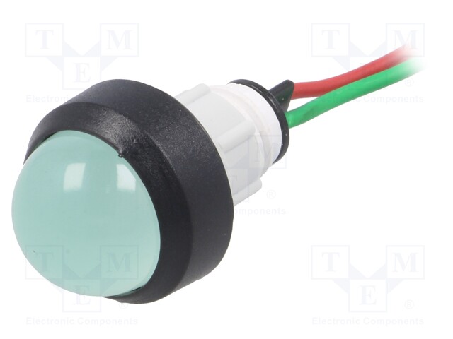 Indicator: LED; prominent; 24VDC; 24VAC; Cutout: Ø13mm; 300mm leads