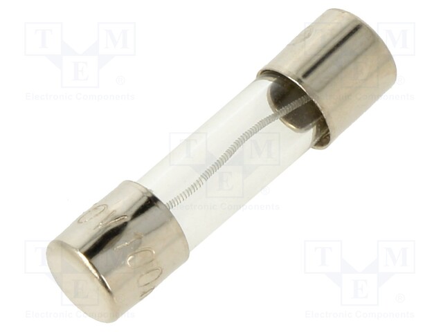 Fuse: fuse; 100mA; 250VAC; glass; 20x5.2mm; brass; bulk