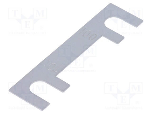 Fuse: fuse; 100A; automotive,strip fuse