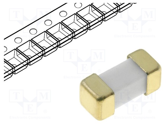 Fuse: fuse; time-lag; 1A; 125VAC; 125VDC; SMD; ceramic; Case: 2410