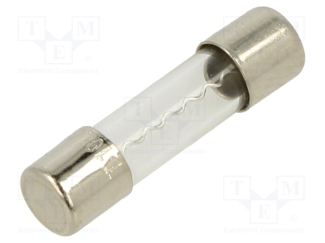 Fuse: fuse; time-lag; 10A; 250VAC; cylindrical,glass; 5x20mm; brass