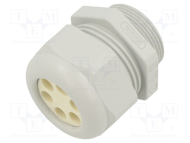 Cable gland