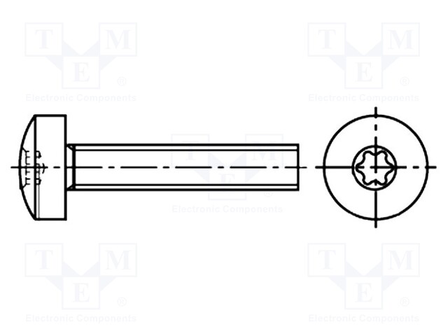 Screw; M4x6; Head: cheese head; Torx®; steel; zinc; TX20