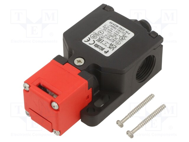 Safety switch: key operated; FW; NC x2 + NO; IP66; plastic