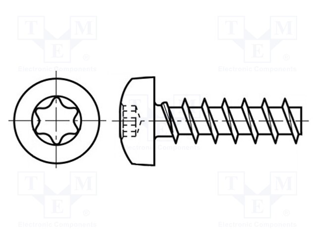 Screw; 3x10; Head: cheese head; Torx®; A2 stainless steel