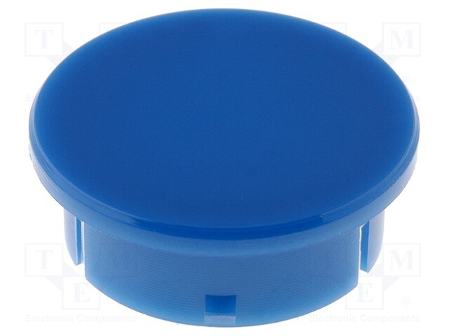 Cap; polyamide; blue; 21mm; -20÷70°C; Application: G21