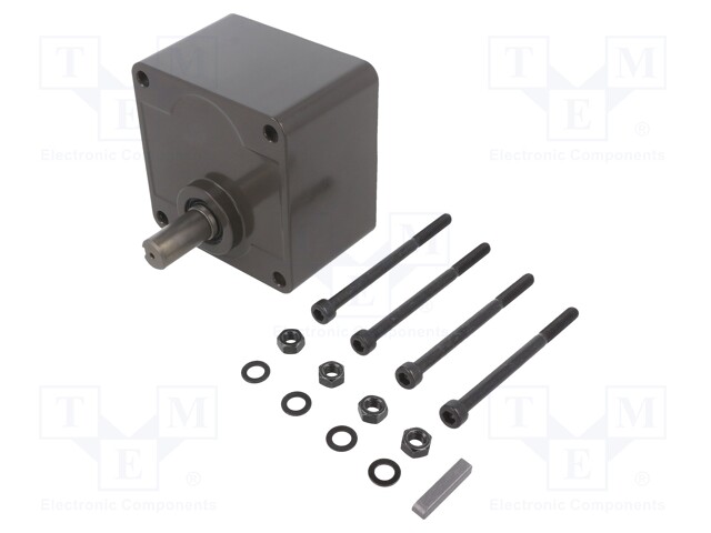 Gear motor; Series: MINAS BL GV; Trans: 15: 1