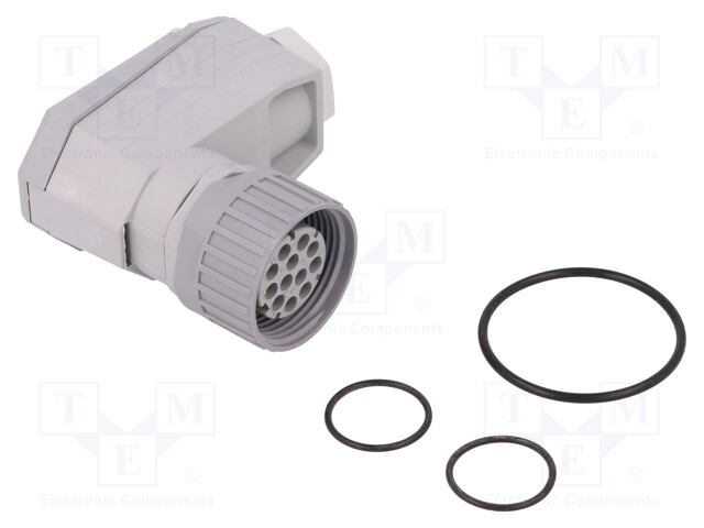 Plug; Connector: DIN 43651; NR; female; PIN: 12; w/o contacts; 5A