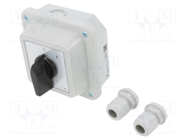 Switch: cam switch; Stabl.pos: 2; 16A; 0-1; Mounting: wall mount