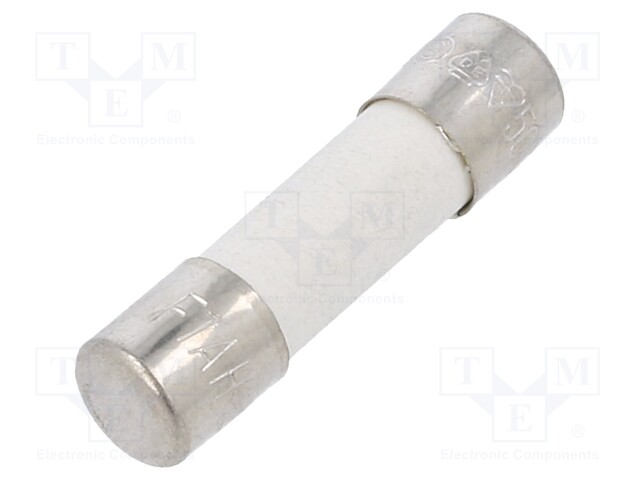 Fuse: fuse; 1A; 250VAC; ceramic; 20x5mm; brass; bulk; nickel plated