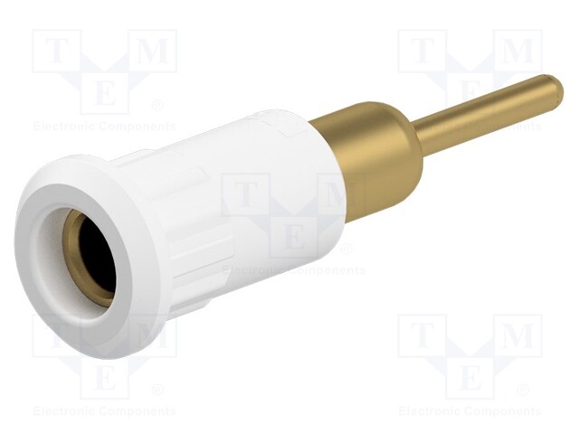 Socket; 4mm banana; 25A; 30VAC; 60VDC; white; gold-plated; on panel