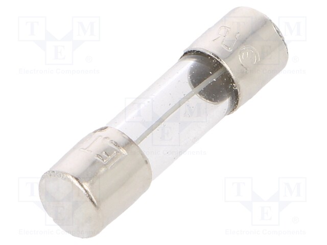 Fuse: fuse; time-lag; 250VAC; cylindrical,glass; 5x20mm; brass