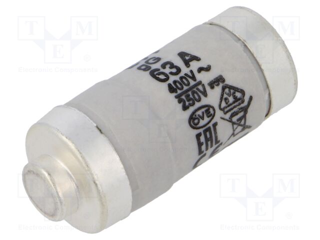 Fuse: fuse; gG,gL; 63A; 400VAC; 250V; industrial; D02