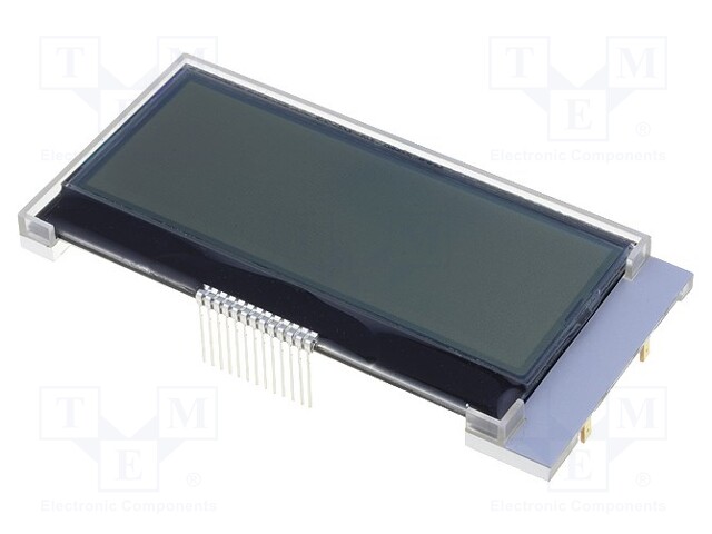 Display: LCD; alphanumeric; COG,FSTN Positive; 20x4; LED; PIN: 13