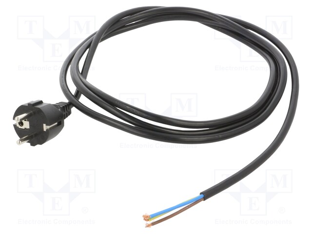 Cable; CEE 7/7 (E/F) plug,wires; PVC; 2.5m; black; 3x1mm2; 10A