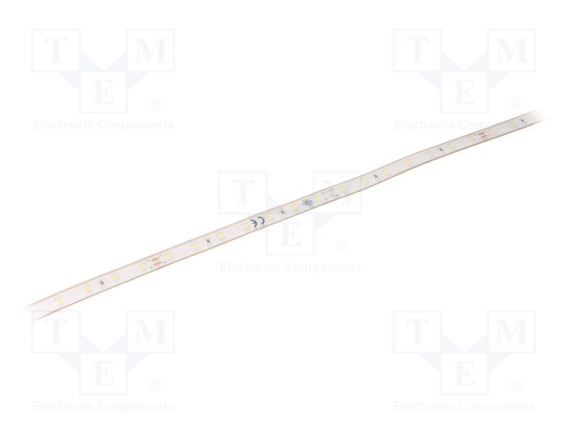 LED tape; white; LED/m: 56; SMD; 24V; W: 10mm; 120°; D: 4.4mm; IP68