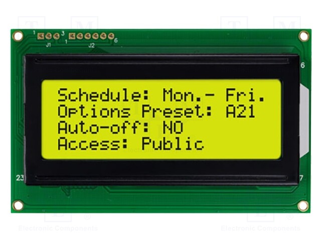 Display: LCD; alphanumeric; STN Positive; 20x4/4x20; gray; LED