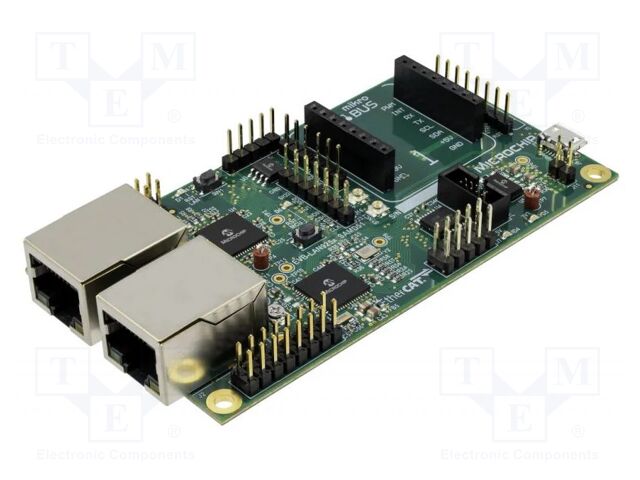 Dev.kit: Microchip