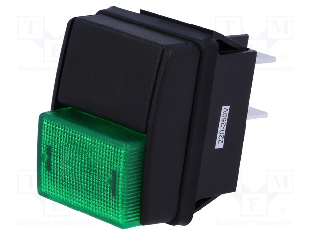 Switch: push-button; Pos: 2; DPST; 10A/250VAC; black/green; green